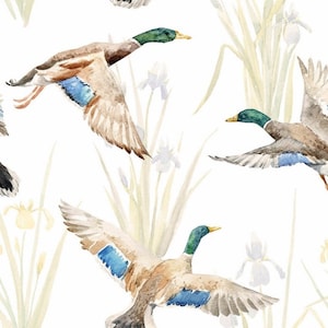 Può includere: Dipinto ad acquerello di quattro anatre selvatiche che volano sopra un campo di erba alta e fiori di iris. Le anatre sono marroni e verdi con penne alari blu. I fiori sono bianchi e gialli.