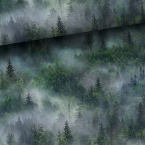 Può includere: Una scena di foresta nebbiosa con alti alberi verdi e nebbia che vortica tra i rami.
