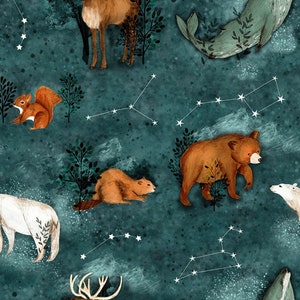 Op de afbeelding: Een blauwgroene achtergrond met witte sterren die sterrenbeelden vormen. De sterrenbeelden worden omringd door verschillende dieren, waaronder een hert, een beer, een eekhoorn, een bever, een walvis en een ijsbeer. De dieren zijn geïllustreerd in aquarelstijl.