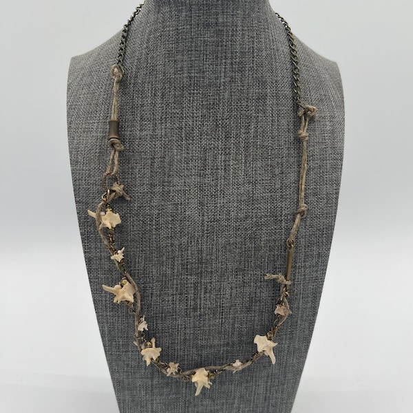 Picked Clean ~ Rattlesnake Vertebrae + Hemp Necklace