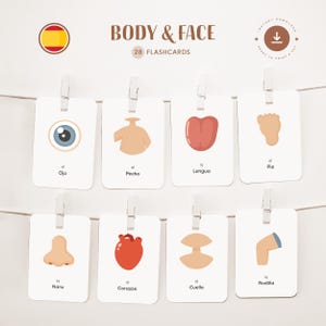 BODY - FAIR • スペイン語 • 印刷可能なフラッシュカード • 3部構成のモンテッソーリカード • 命名法