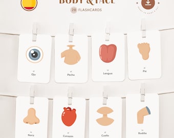 BODY - FAIR • Spanish • Printable Flashcards • Three-Part Montessori Cards • Nomenclature