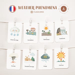WEATHER PHENOMENA • French • Printable Flashcards • Three-Part Montessori Cards • Nomenclature