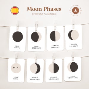 FASES DE LA LUNA • Español • Tarjetas didácticas imprimibles • Tarjetas Montessori de tres partes • Nomenclatura