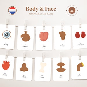 CUERPO - OSCURO • Holandés • Tarjetas didácticas imprimibles • Tarjetas Montessori de tres partes • Nomenclatura