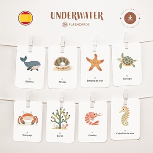 BAJO EL AGUA • Español • Fichas para imprimir • Fichas Montessori de tres partes • Nomenclatura