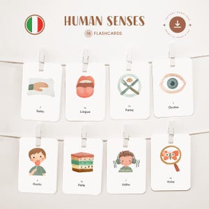 SENS HUMAINS • Italien • Cartes flash imprimables • Cartes Montessori en trois parties • Nomenclature
