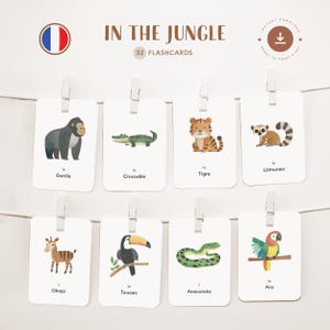 ANIMAUX DE LA JUNGLE • Français • Cartes flash imprimables • Cartes Montessori en trois parties • Nomenclature