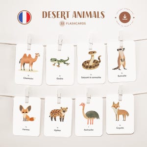 DESERT ANIMALS • French • Printable Flashcards • Three-Part Montessori Cards • Nomenclature