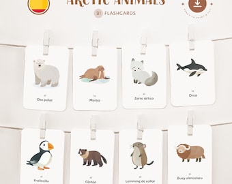 May include: A set of 31 flashcards featuring illustrations of Arctic animals with their Spanish names. The animals include a polar bear, walrus, arctic fox, orca, puffin, wolverine, collared lemming, and musk ox.