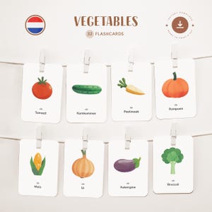 VERDURE • Olandese • Schede didattiche stampabili • Schede Montessori in tre parti • Nomenclatura