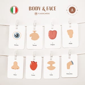 BODY - FAIR • Italian • Printable Flashcards • Three-Part Montessori Cards • Nomenclature