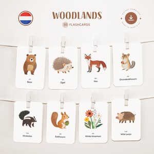 BOSQUES • Holandés • Fichas para imprimir • Fichas Montessori de tres partes • Nomenclatura