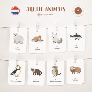 ANIMALES DEL ÁRTICO • Holandés • Fichas para imprimir • Fichas Montessori de tres partes • Nomenclatura