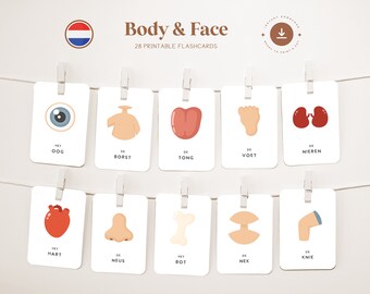 BODY - FAIR • Dutch • Printable Flashcards • Three-Part Montessori Cards • Nomenclature