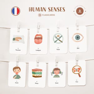 SENS HUMAINS • Français • Cartes flash imprimables • Cartes Montessori en trois parties • Nomenclature