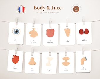 BODY - FAIR • Français • Cartes flash imprimables • Cartes Montessori en trois parties • Nomenclature