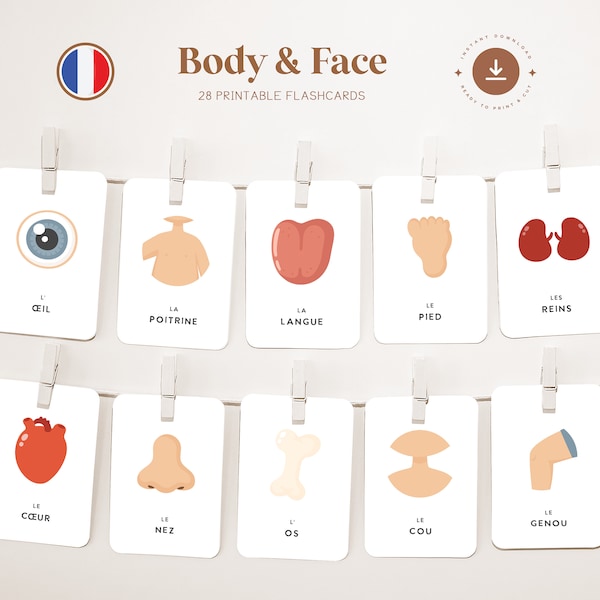 BODY - FAIR • French • Printable Flashcards • Three-Part Montessori Cards • Nomenclature