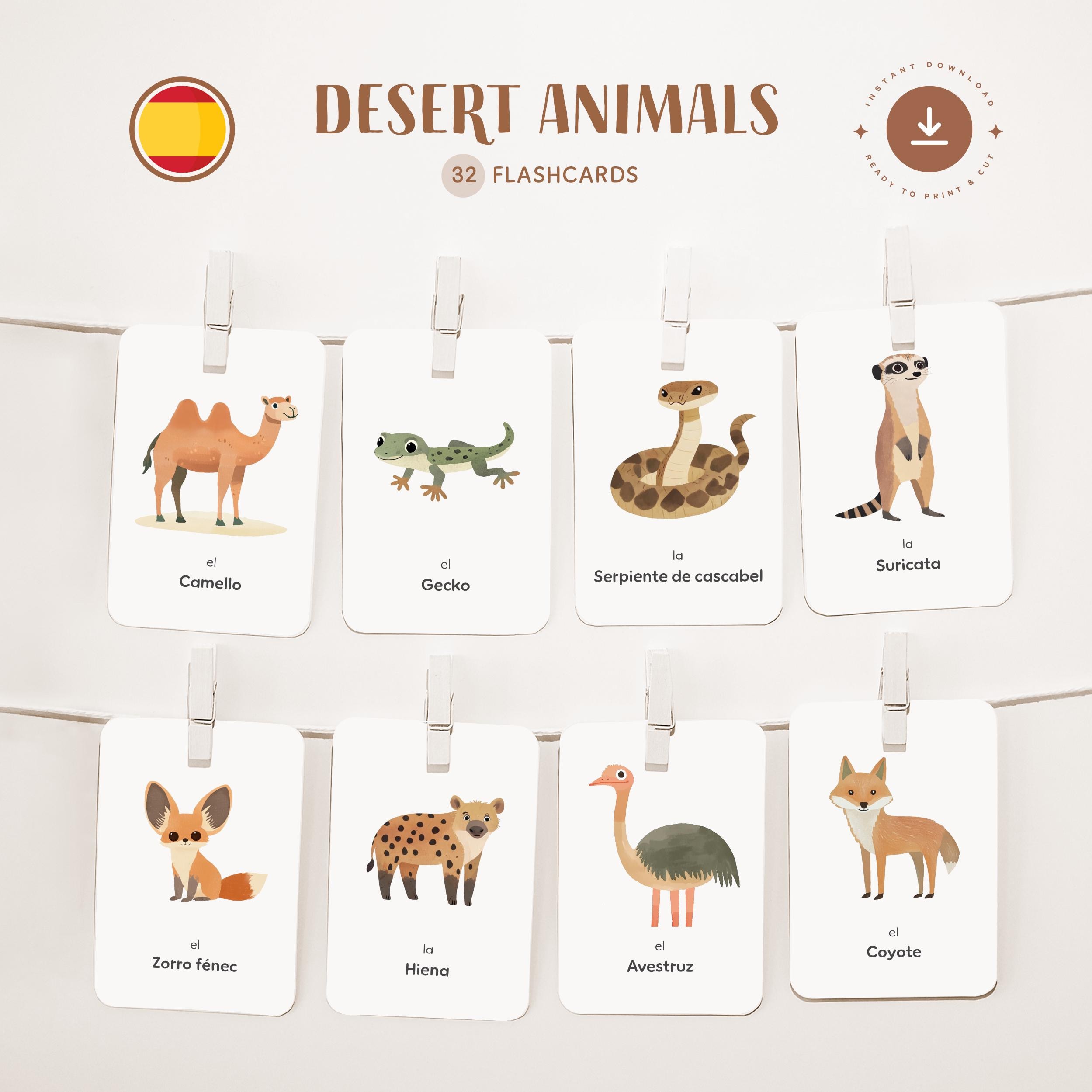 DESERT ANIMALS • Spanish • Printable Flashcards • Three-Part Montessori Cards • Nomenclature
