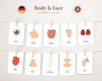 BODY - FAIR • German • Printable Flashcards • Three-Part Montessori Cards • Nomenclature