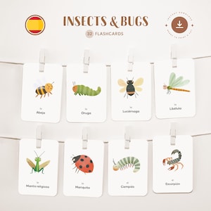 INSECTOS Y CHISCALES • Español • Fichas para imprimir • Fichas Montessori de tres partes • Nomenclatura