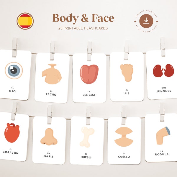 BODY - FAIR • Spanish • Printable Flashcards • Three-Part Montessori Cards • Nomenclature