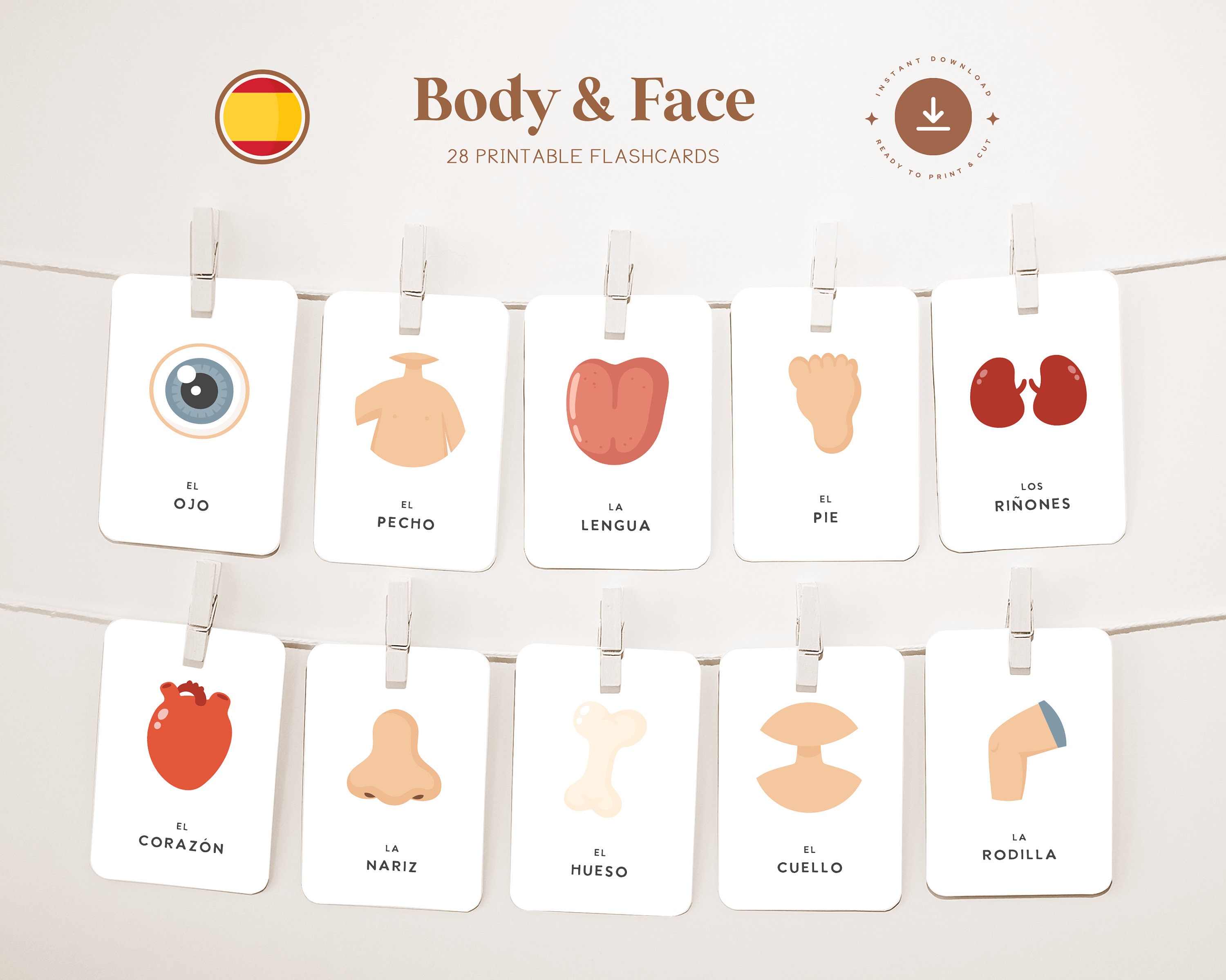 BODY - FAIR • Spanish • Printable Flashcards • Three-part Montessori ...