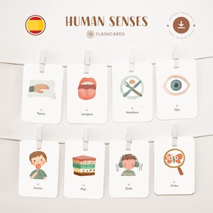 SENS HUMAINS • Espagnol • Cartes flash imprimables • Cartes Montessori en trois parties • Nomenclature