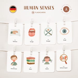 SENS HUMAINS • Allemand • Cartes flash imprimables • Cartes Montessori en trois parties • Nomenclature