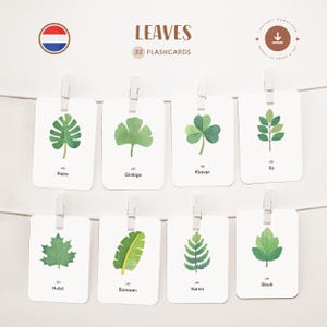 LEAVES • Holandés • Fichas para imprimir • Fichas Montessori de tres partes • Nomenclatura