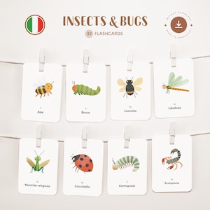 INSEKTEN & KÄFER • Italienisch • Druckbare Karteikarten • Dreiteilige Montessori Karteikarten • Nomenklatur