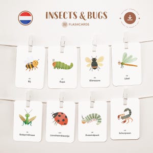 INSECTOS Y CHISCALES • Holandés • Fichas para imprimir • Fichas Montessori de tres partes • Nomenclatura