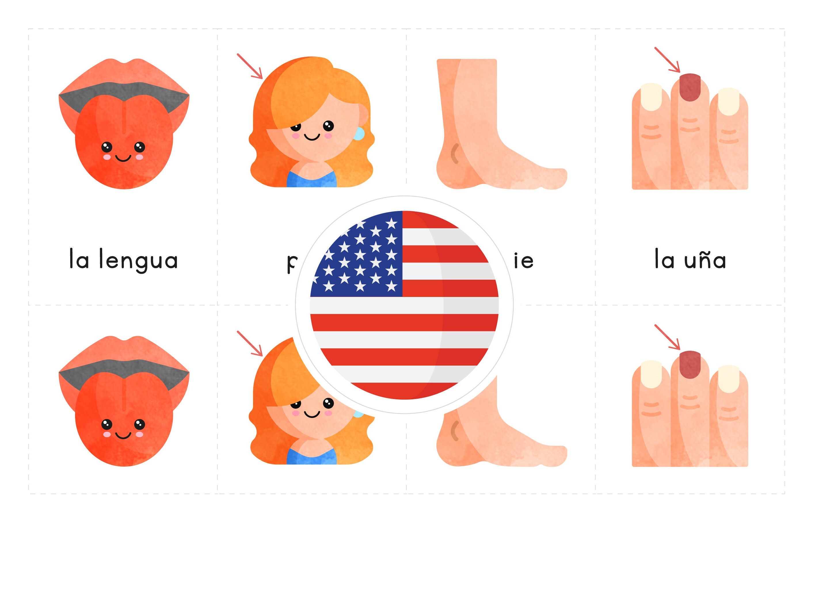 BODY Spanish Printable Flashcards Three-part Montessori - Etsy UK