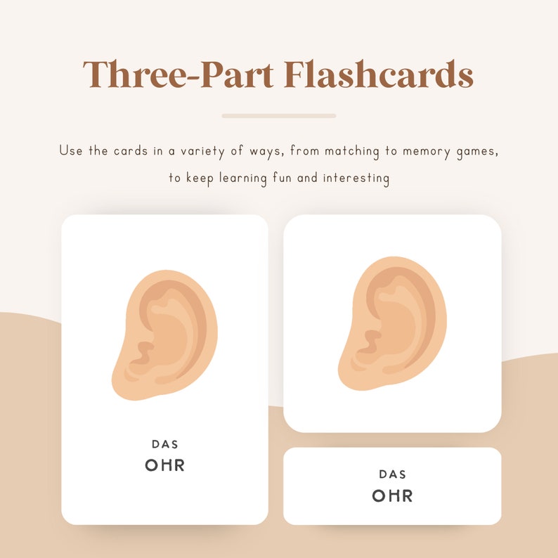 May include: Two flashcards with a picture of an ear on each card. The text on the cards reads "DAS OHR" which is German for "the ear".