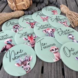 Boho Safari Animal Baby Milestone Markers: Acrylic Photo Prop Discs
