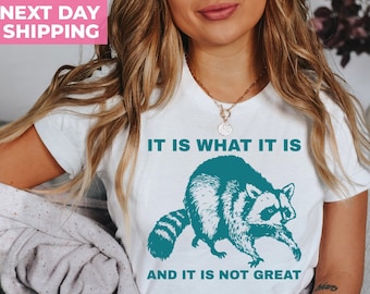 It Is What It Is And It Is Not Great Shirt, Funny Vintage Drawing T-Shirt, Raccoon Meme Shirt, Mood Gifts, Funny Mood Shirt, Funny Meme