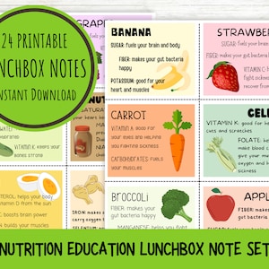 Notes éducatives sur la boîte à lunch pour enfants | Cartes d'éducation nutritionnelle imprimables | Téléchargement instantané