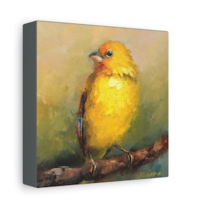 Saffron Finch bird print on Canvas Gallery Wraps designed of original oil painting by Daiga Dimza