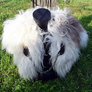 Wikinger Fell Umhang Grau mit Drachen Leder Brosche und Kette. Islandia Schafs Fell, Wikinger, Larp.