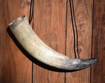 Viking blow horn natural, war horn from 30-40cm with leather strap. Larp, reenactment.