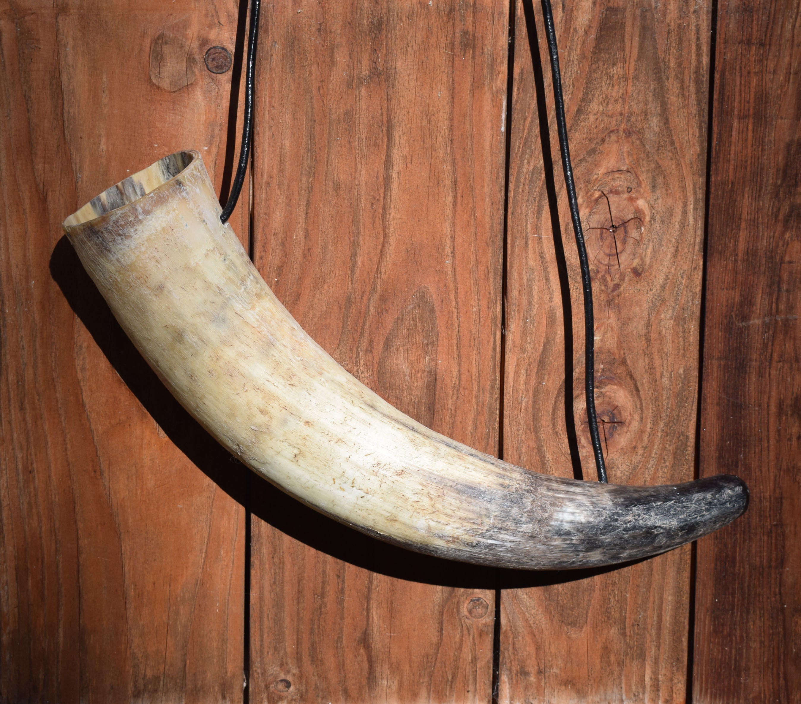Viking blow horn natural, war horn from 30-40cm with leather strap. Larp, reenactment.