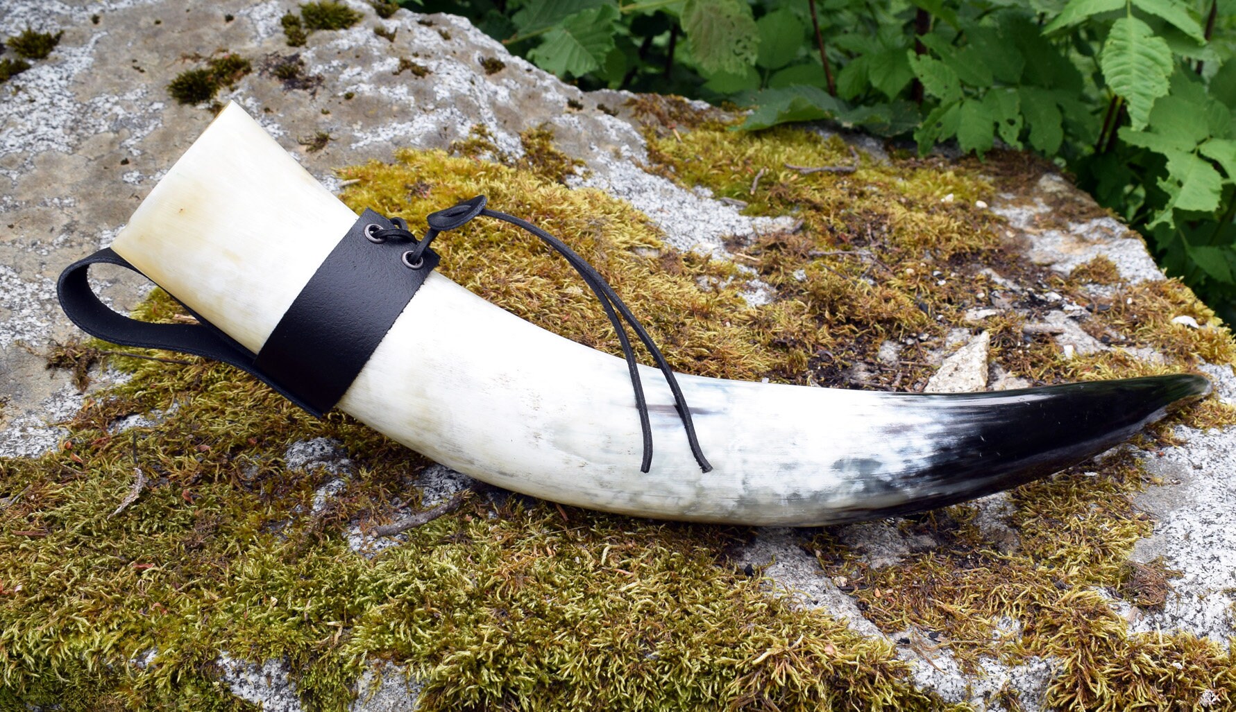 Set de Corne à Boire Polie d'une Contenance 900 Ml et d'un Porte-Corne Pour La Ceinture en Cuir Noir