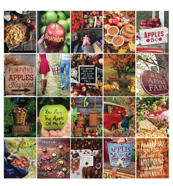 Fall Apple Picking Quotes Sticker Set Inspired by Erin Etsy