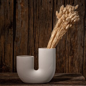 Vase U Shape