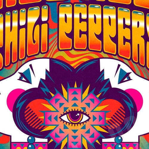 Red Hot Chili Pepper X Nirvana Concert Poster 12x18 Etsy