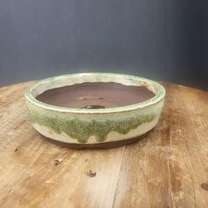 Peut inclure: Un pot à bonsaï rond en céramique avec un intérieur marron et un extérieur émaillé vert clair et blanc. Le pot a un profil bas et repose sur une surface en bois. Le bord a un effet de glaçure texturé et dégoulinant.