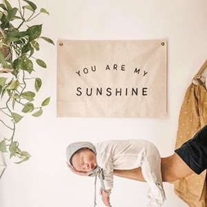 You are my sunshine banner / Wall Hanging / Nursery Decor / Nursery Sign / Kids Room Decor