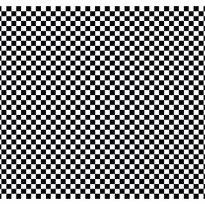 May include: Black and white checkered pattern. The pattern is made up of alternating black and white squares.