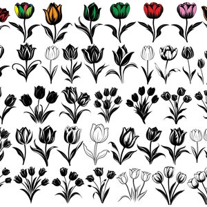 TULPEN SVG-bundel, Instant Download, BLOEM ClipArt, bloem Svg, tulp Svg-bestanden voor Cricut, commercieel gebruik, tulp silhouet, lentebloem