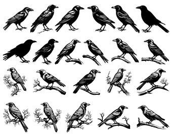 Crow & Raven SVG Bundle: Bird Clip Art for Cricut (Digital Download)